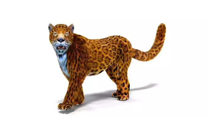 Fur Leopard Rigged 