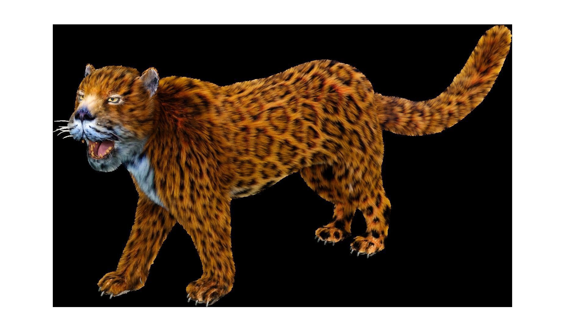 Fur Leopard Rigged  Low-poly 3D model_6