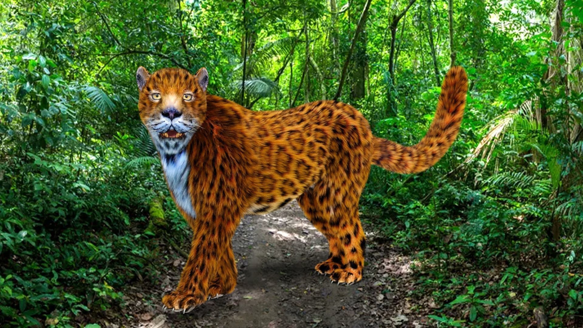Fur Leopard Rigged  Low-poly 3D model_3