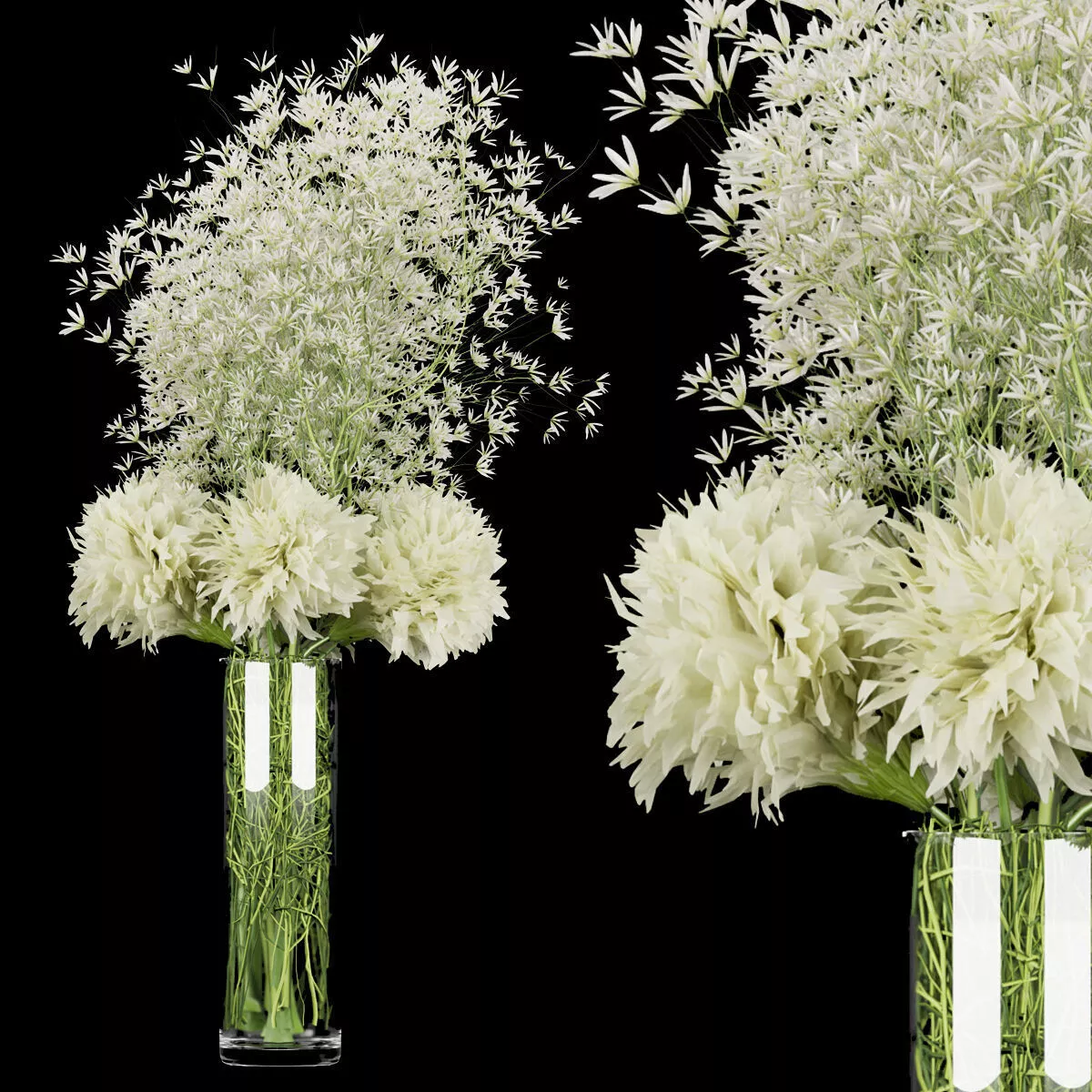 Collection plant vol 151 3D model