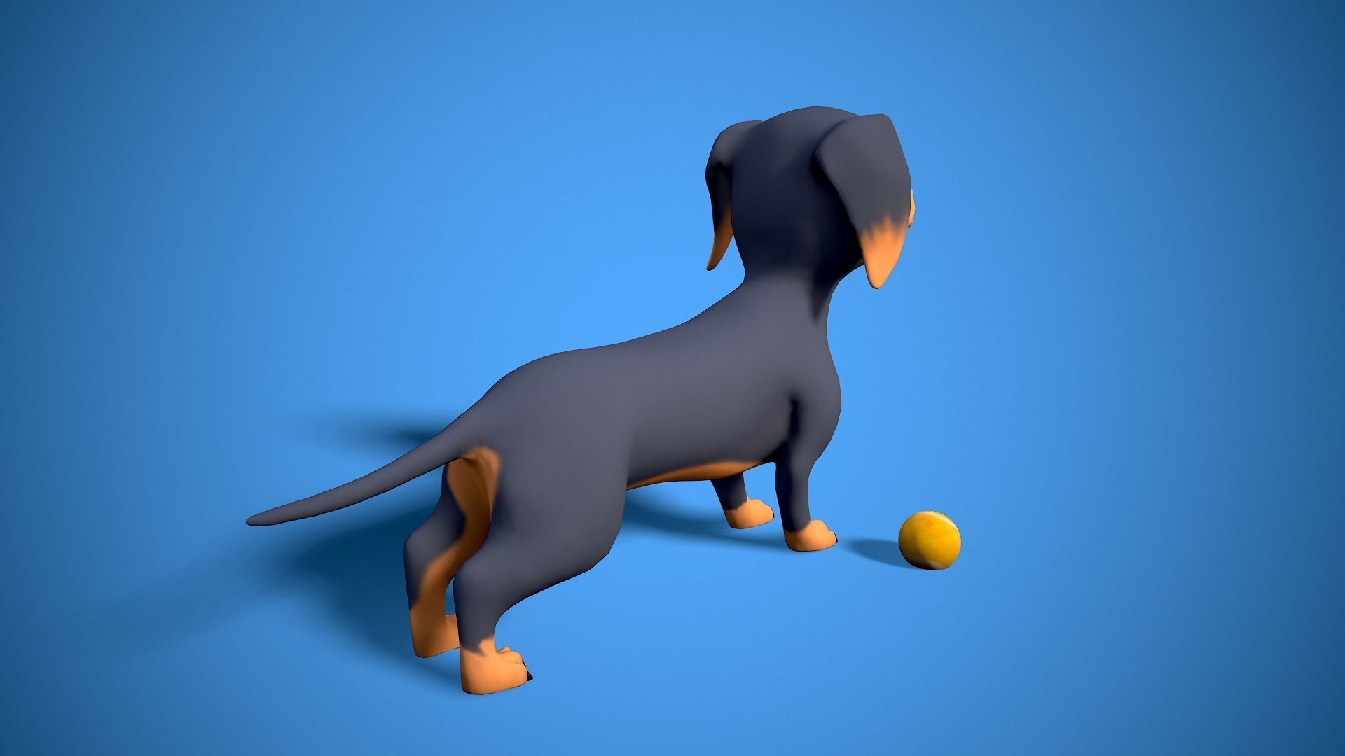 cartoon dachshund Low-poly 3D model_6