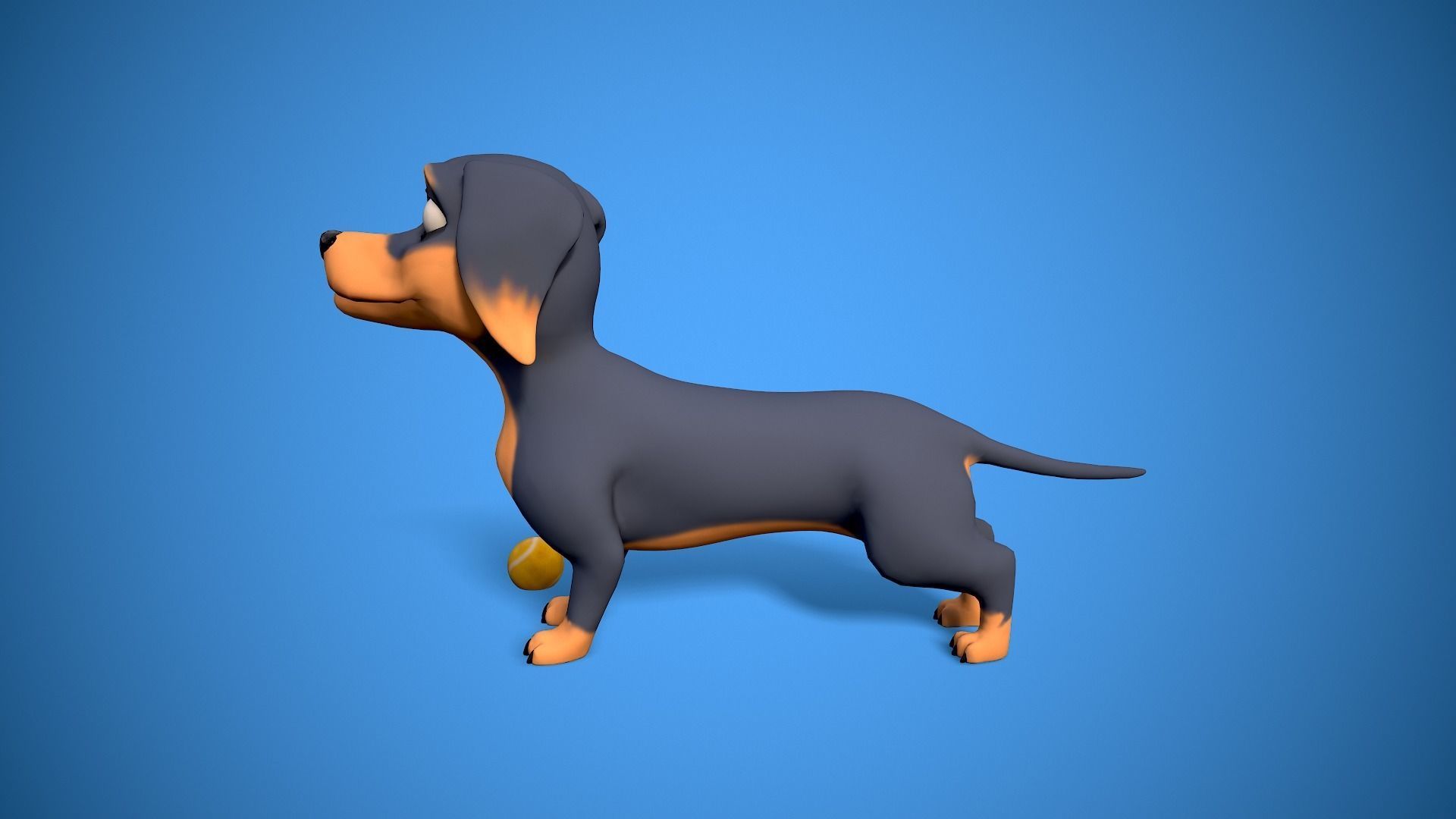 cartoon dachshund Low-poly 3D model_9