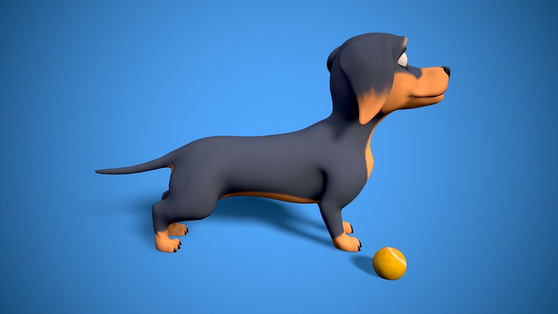 cartoon dachshund Low-poly 3D model_4