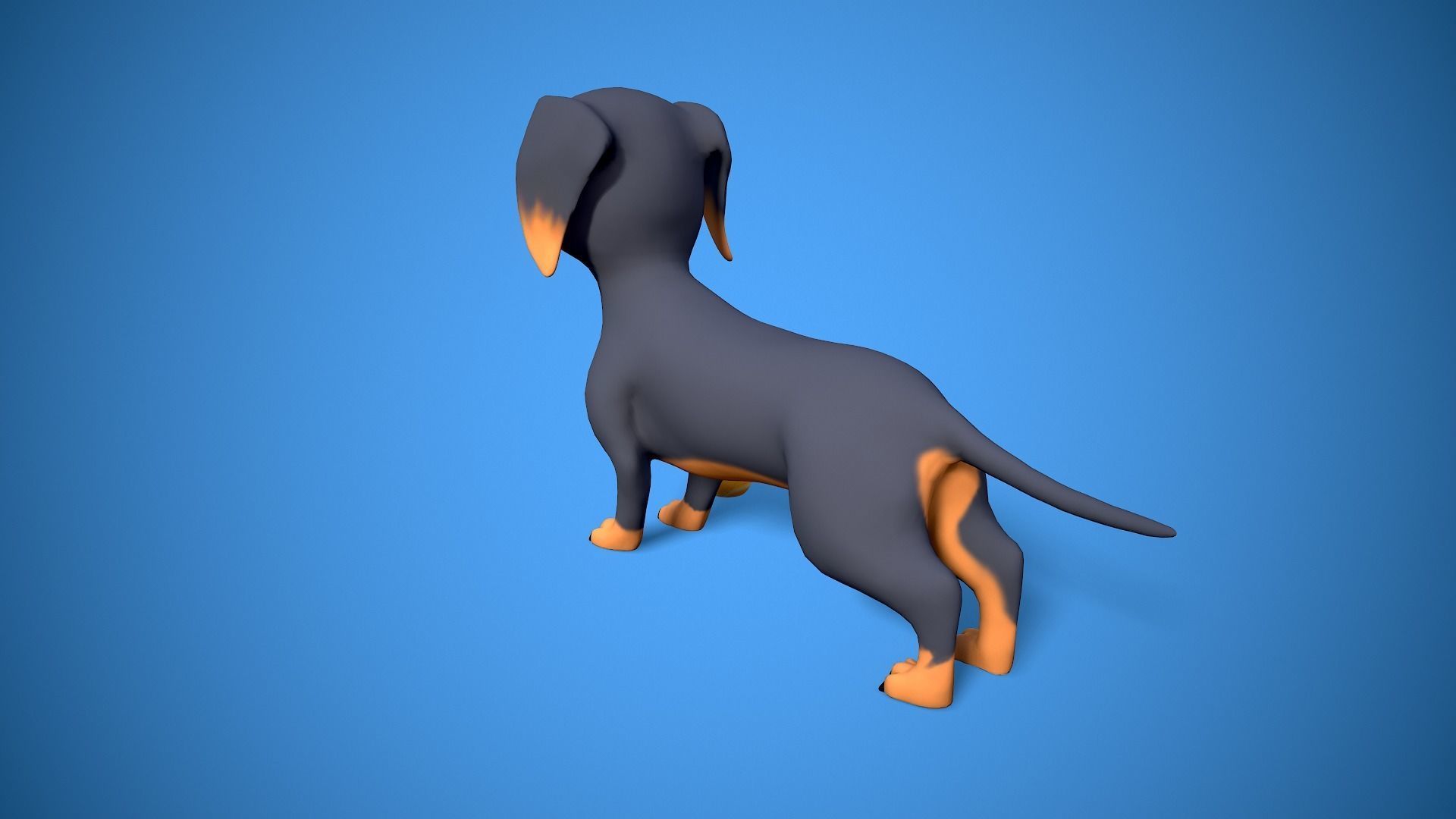 cartoon dachshund Low-poly 3D model_7