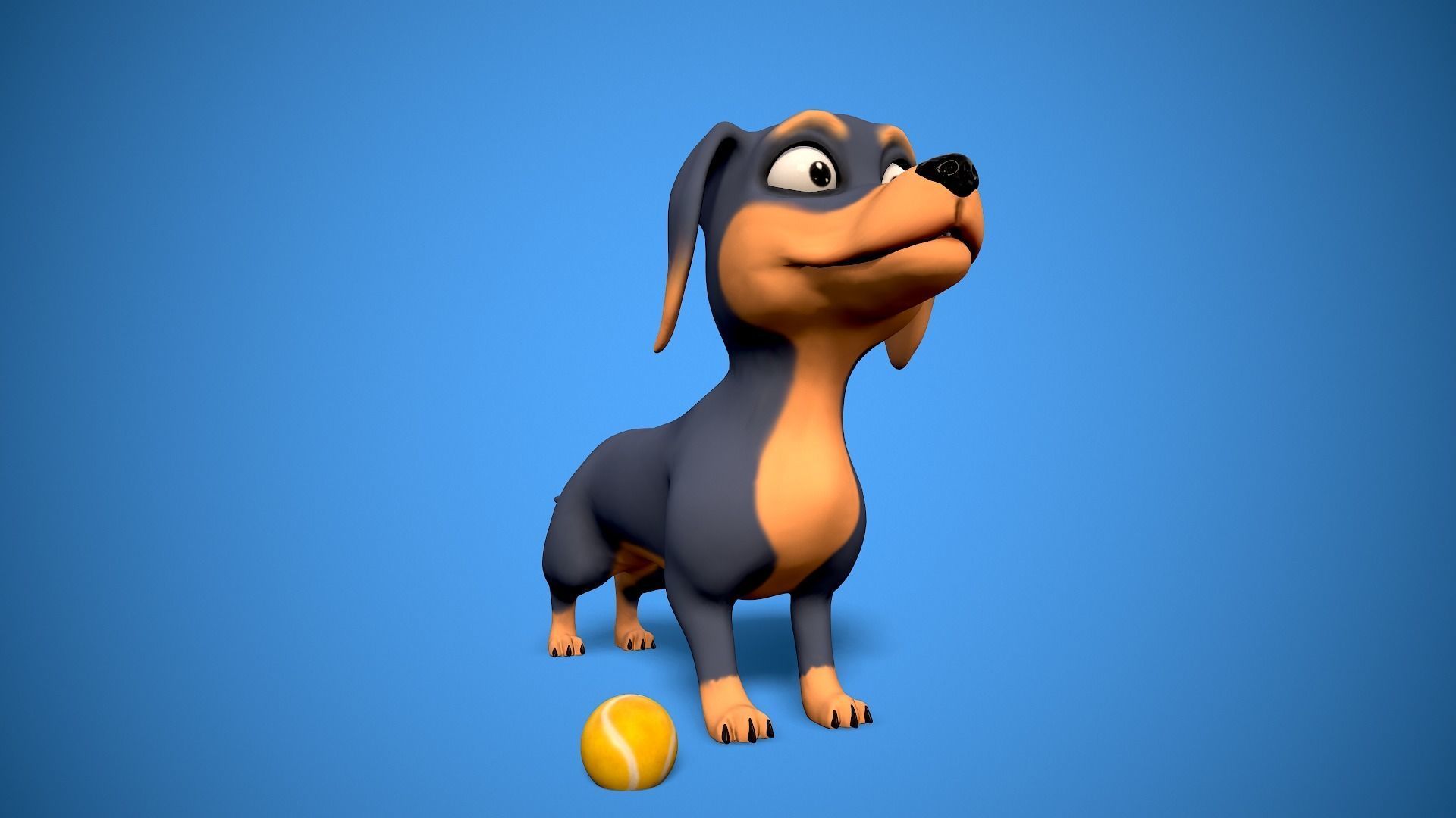 cartoon dachshund Low-poly 3D model_11