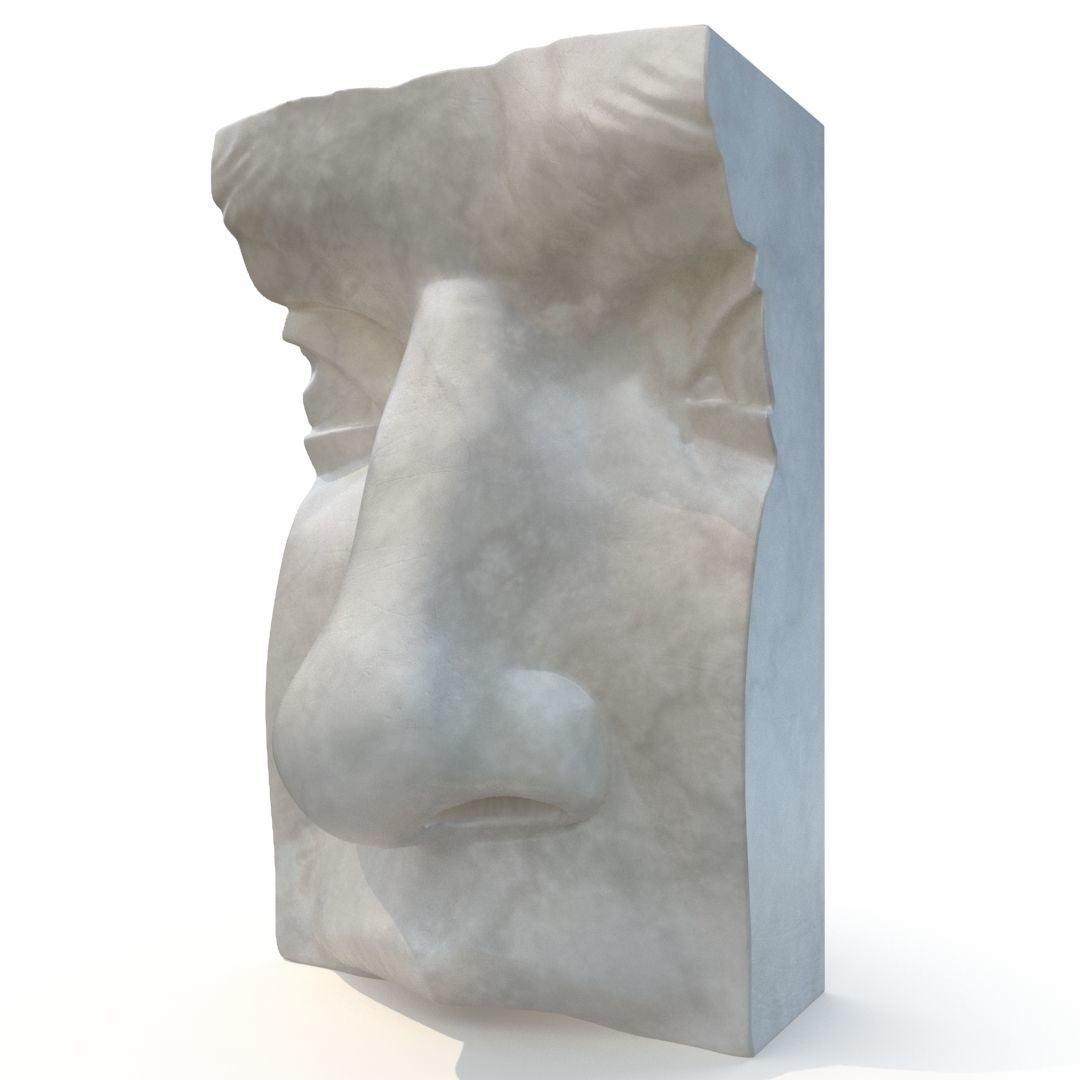 Nose of David - CGI model