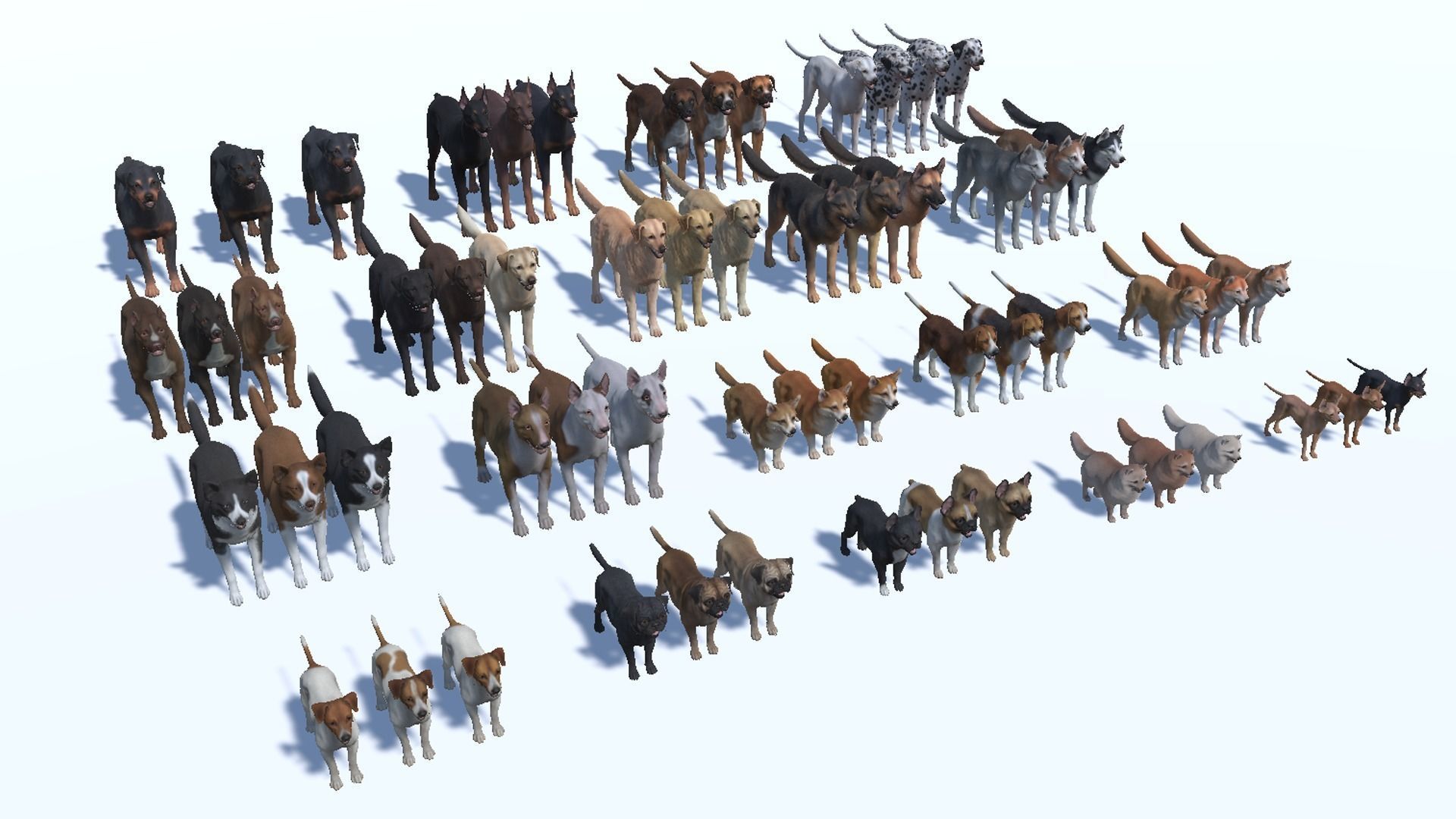 Dogs big pack 3D Model Collection_17