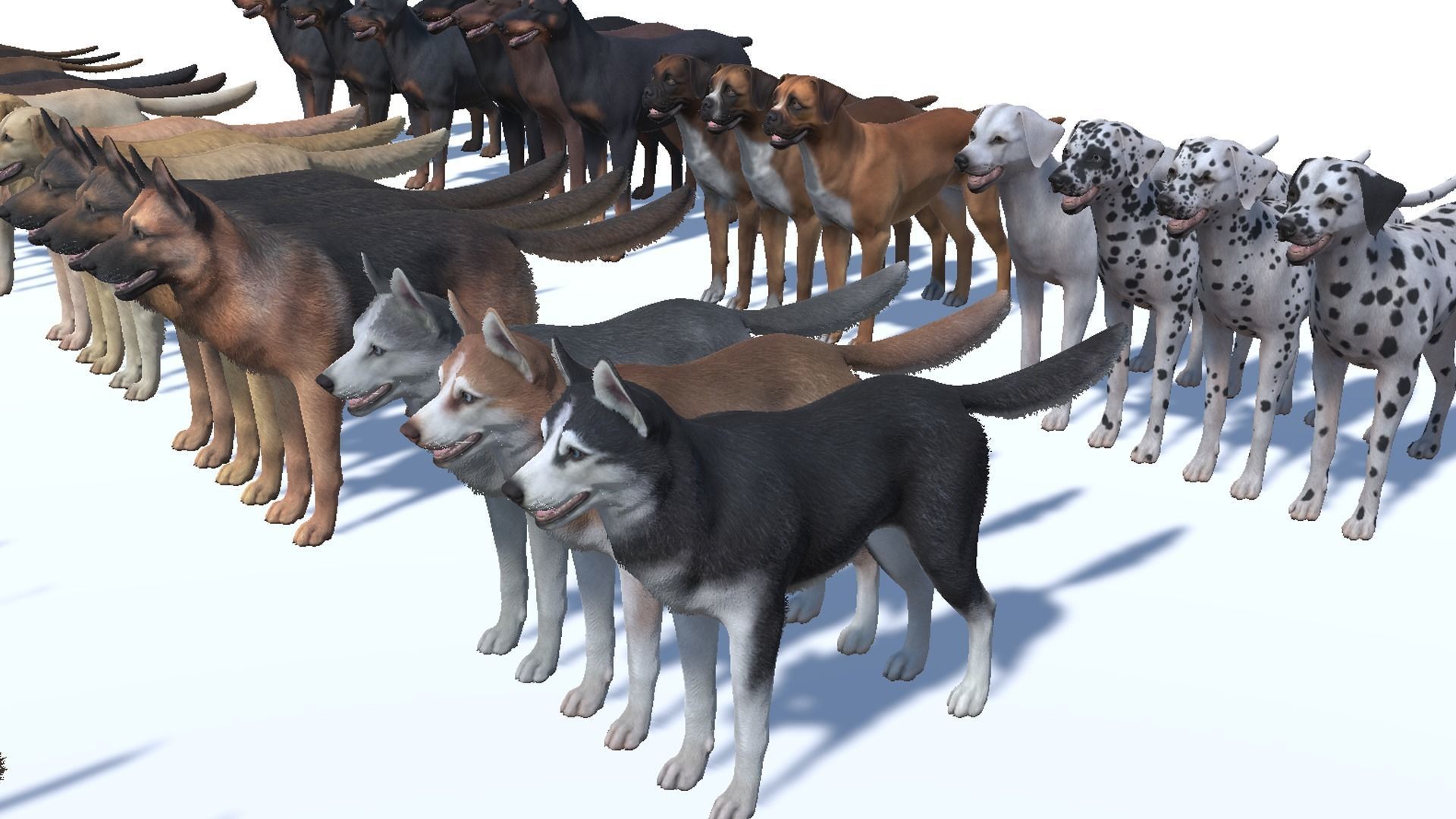 Dogs big pack 3D Model Collection_26