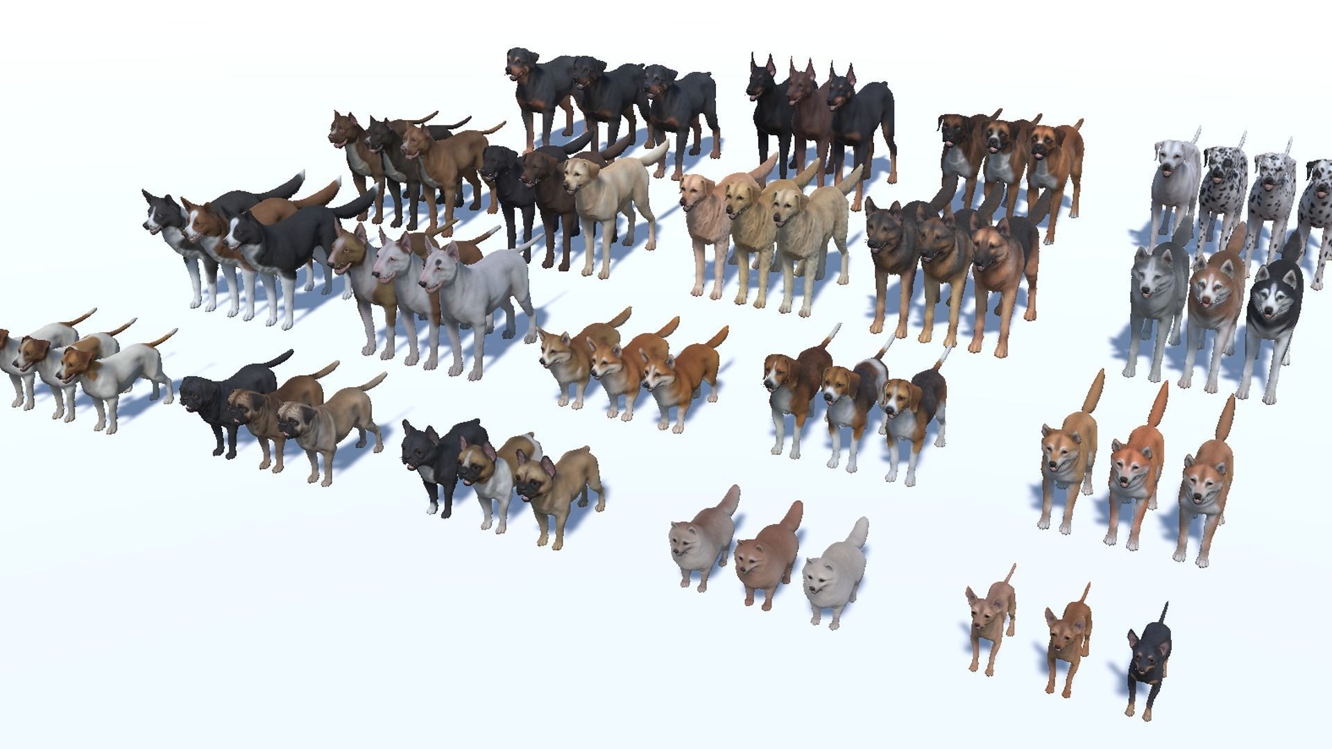 Dogs big pack 3D Model Collection_18