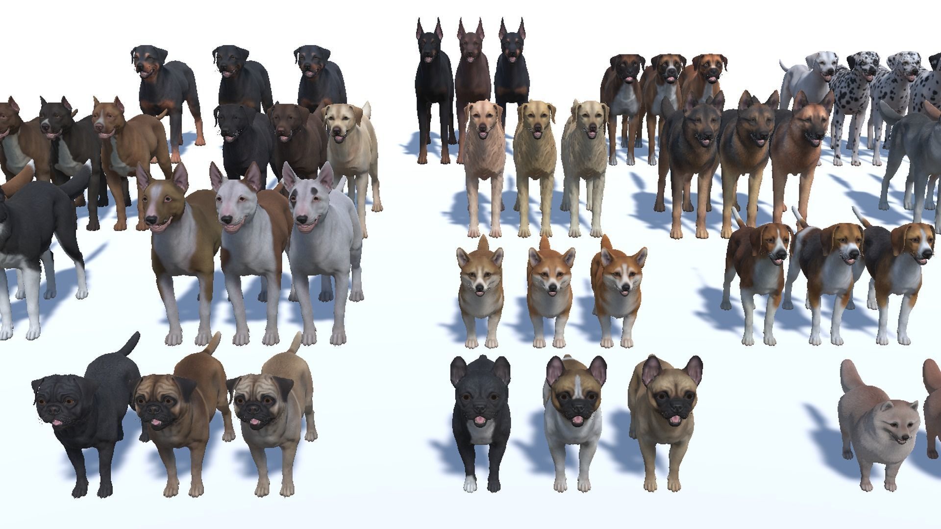 Dogs big pack 3D Model Collection_22