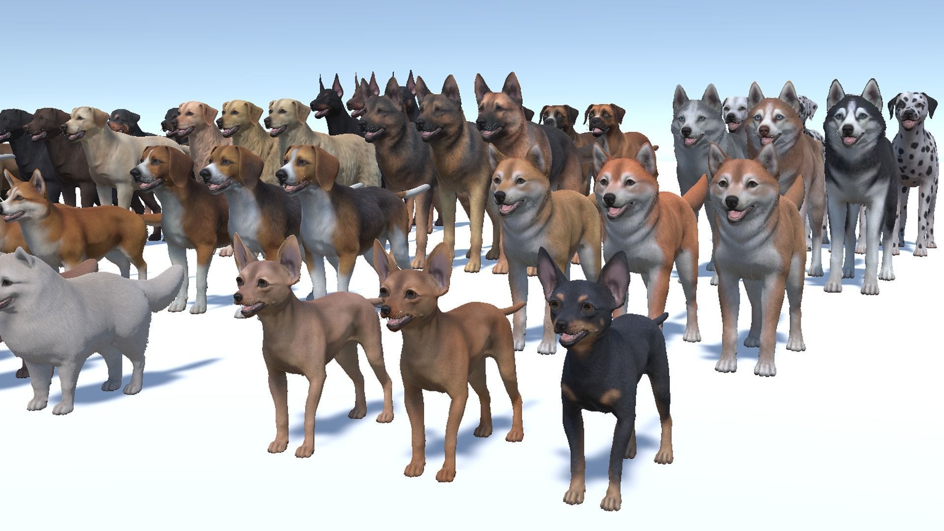 Dogs big pack 3D Model Collection_20