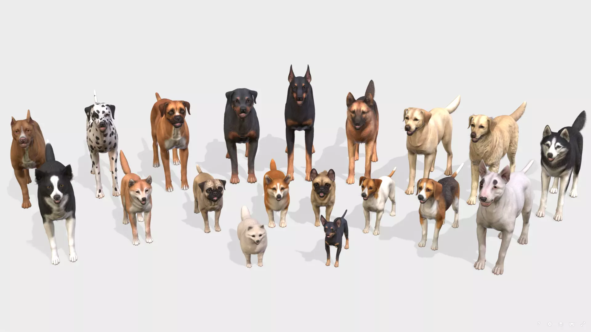 Dogs big pack 3D Model Collection_0