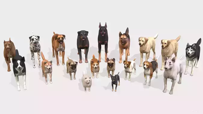 Dogs big pack 3D Model Collection