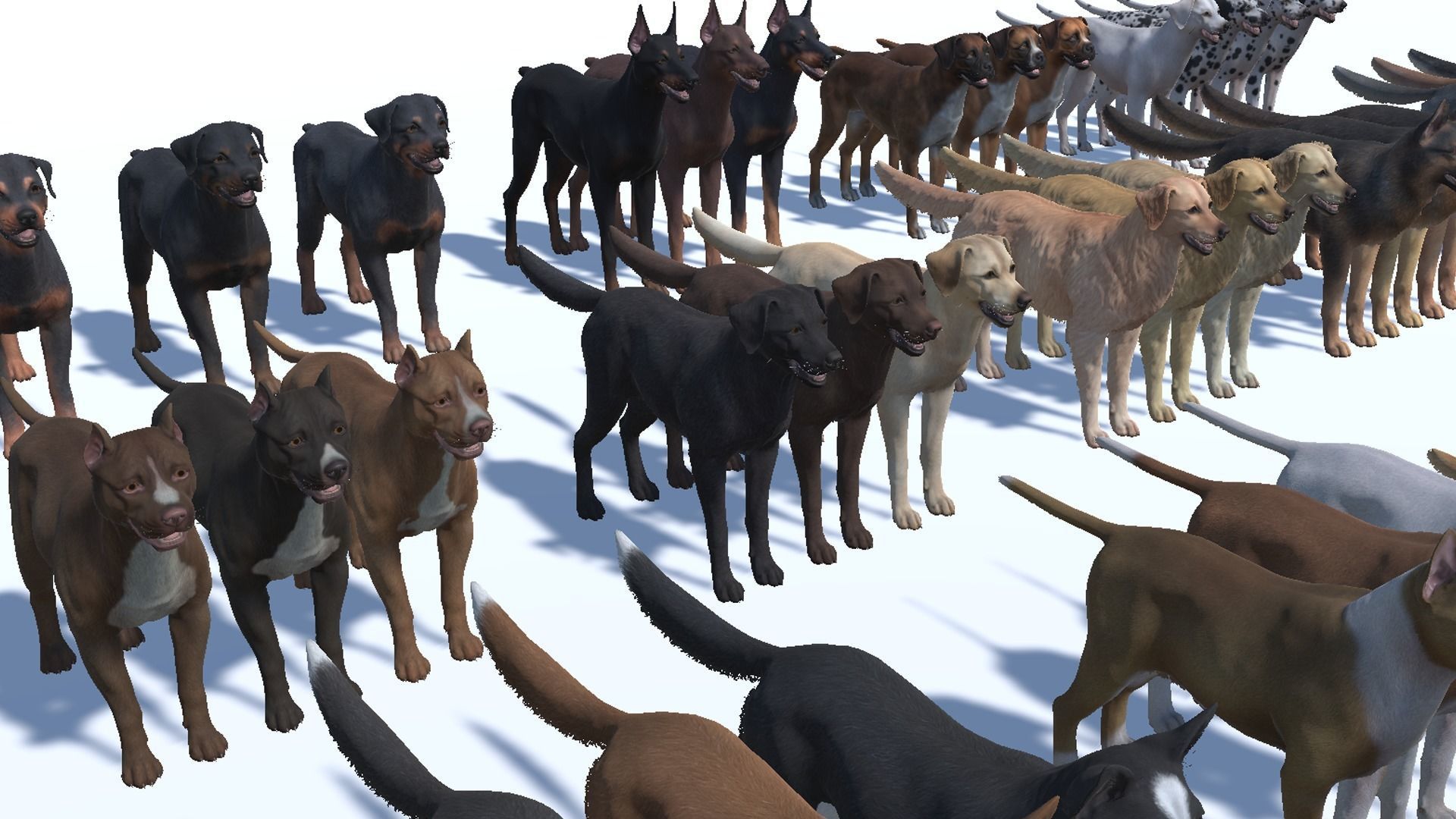 Dogs big pack 3D Model Collection_28
