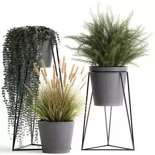 Plants in a flowerpot for the interior 946