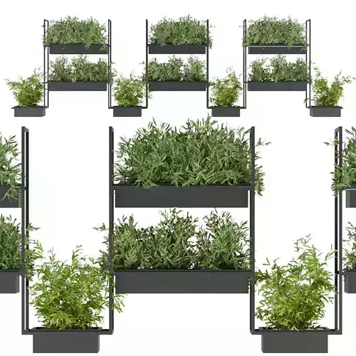 Collection plant vol 152