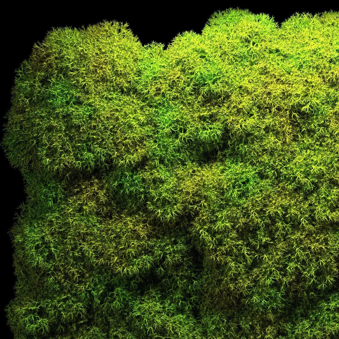 Stabilized moss wall panels 3D model_15
