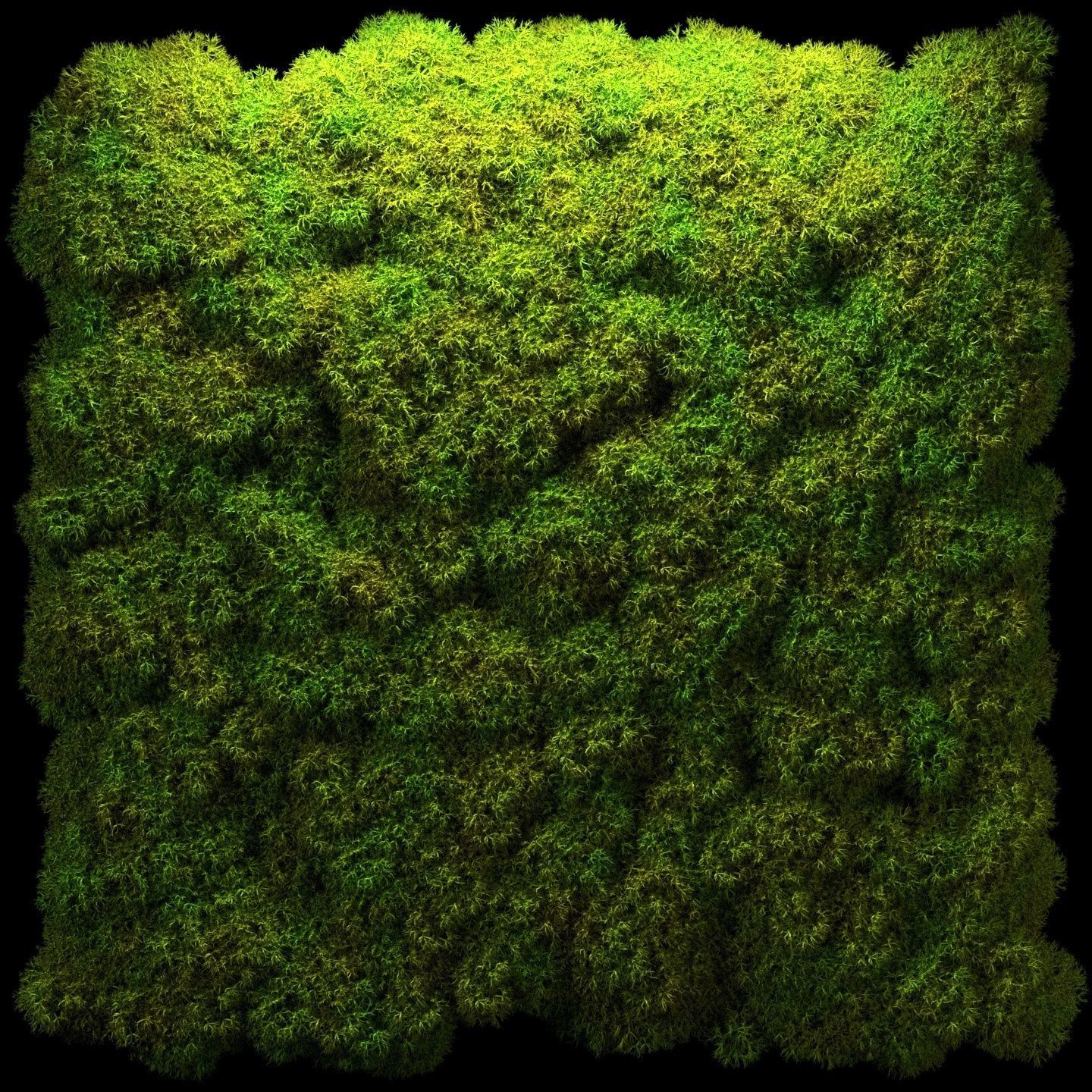 Stabilized moss wall panels 3D model_16