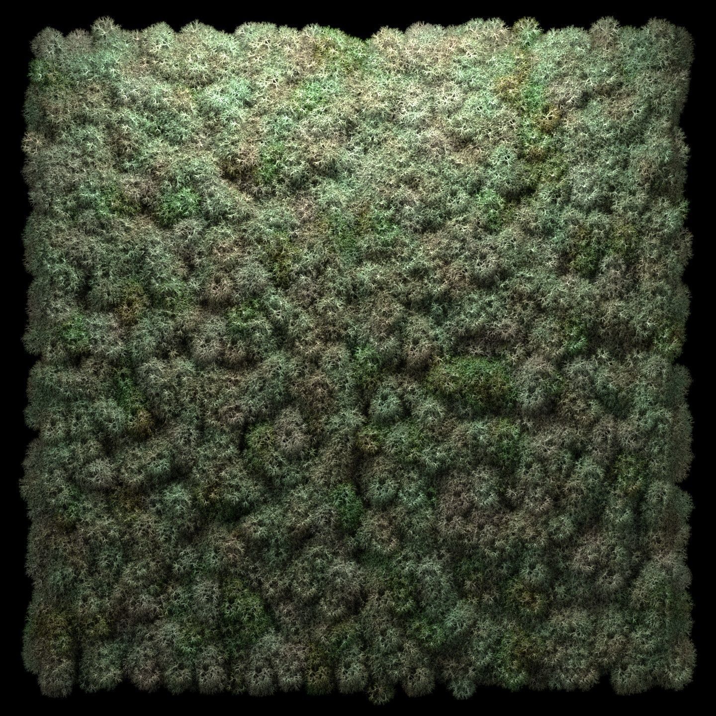 Stabilized moss wall panels 3D model_10