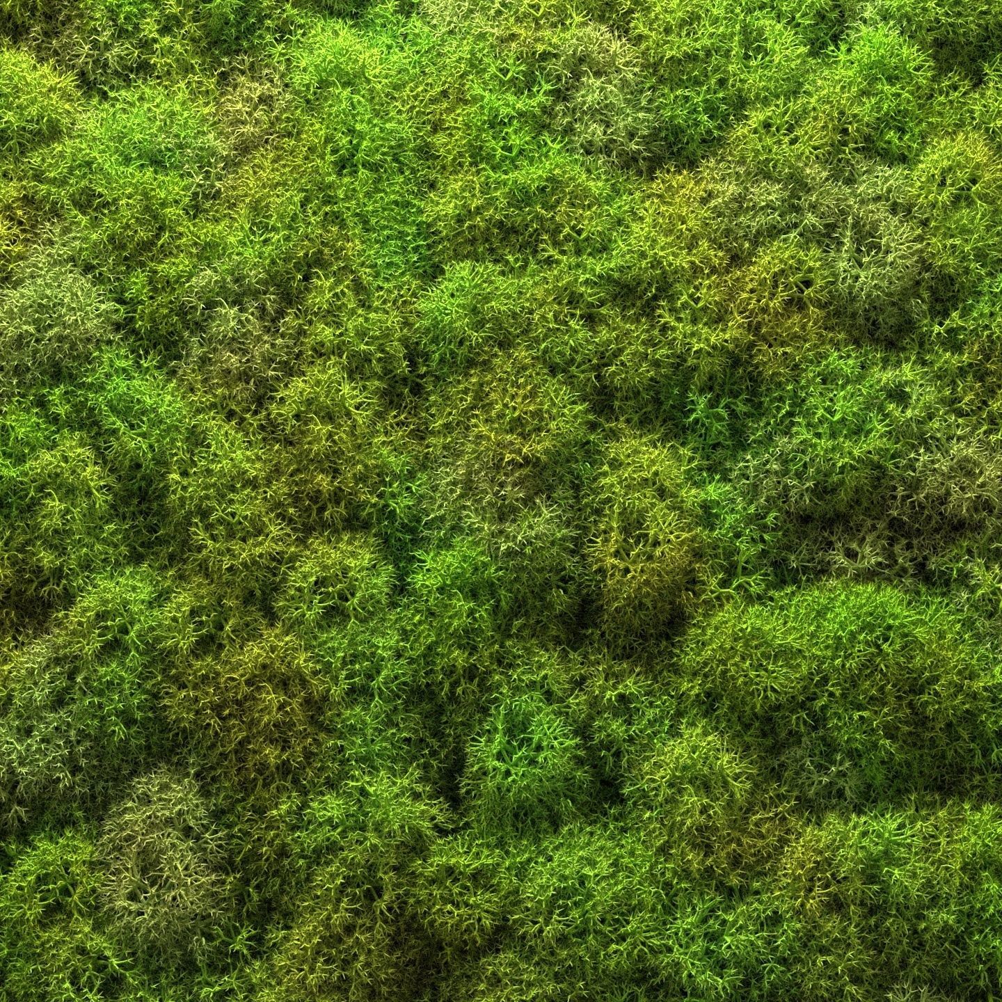 Stabilized moss wall panels 3D model_4