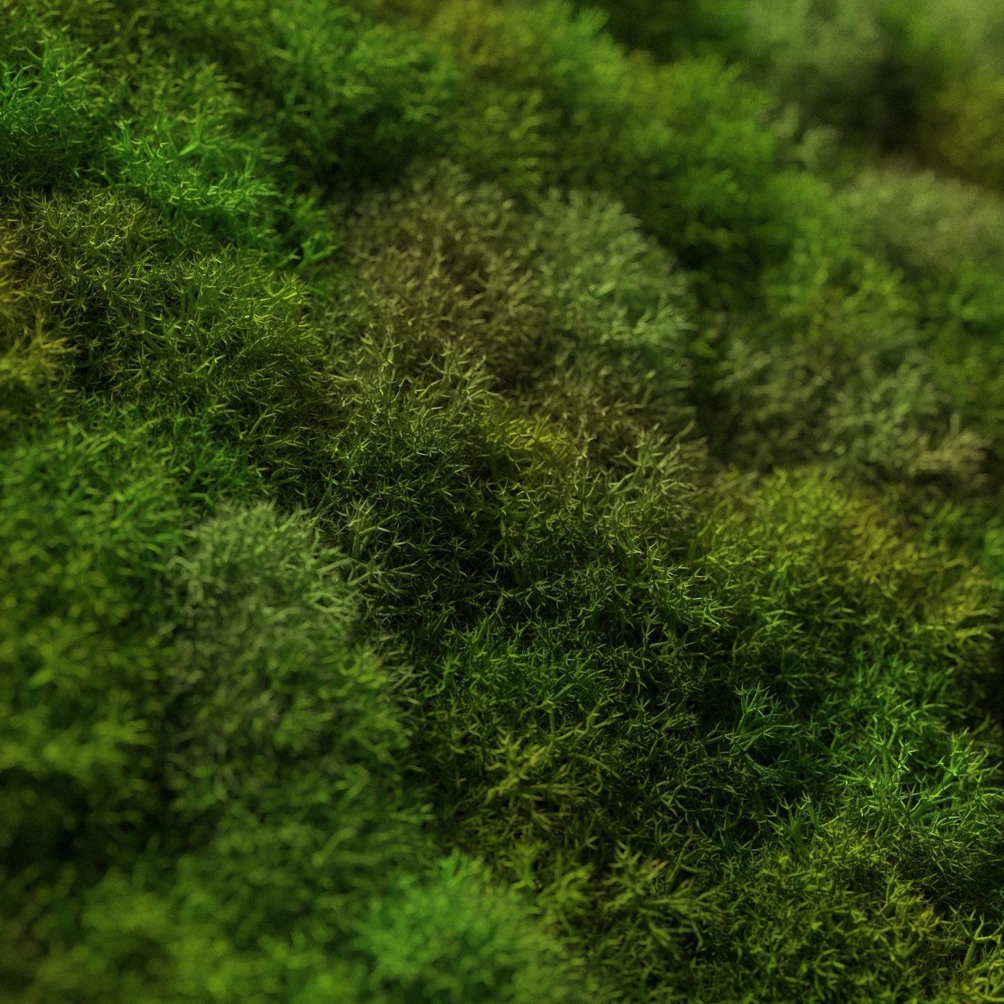 Stabilized moss wall panels 3D model_2