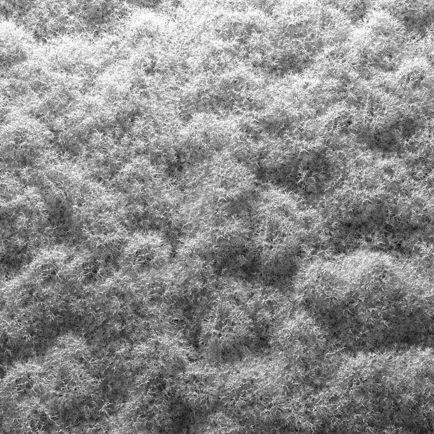 Stabilized moss wall panels 3D model_5