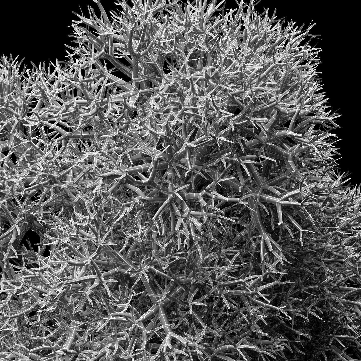 Stabilized moss wall panels 3D model_6