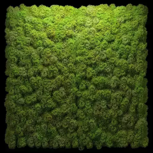 Stabilized moss wall panels 3D model Stabilized moss wall panels 3D model