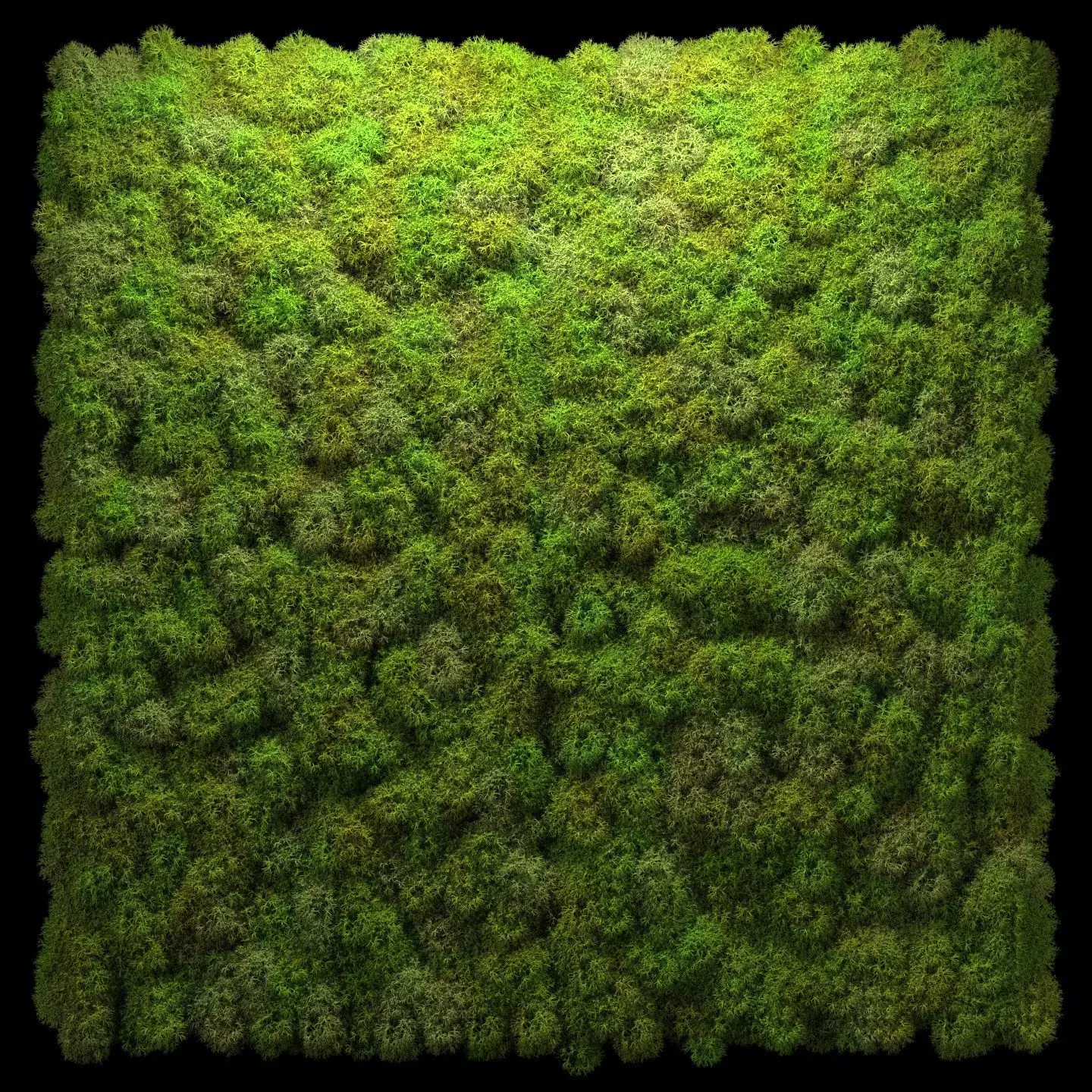Stabilized moss wall panels 3D model_0