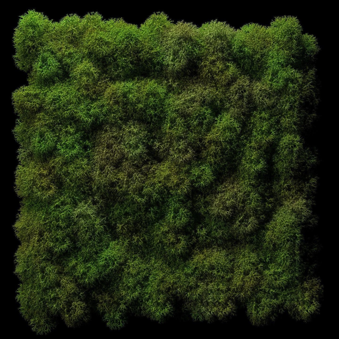 Stabilized moss wall panels 3D model_3