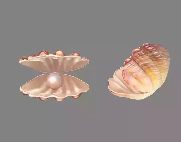 Pearls and shells - mussels Low-poly 3D model