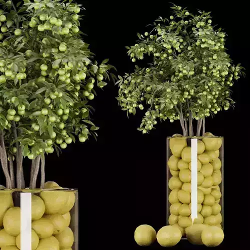 Collection plant vol 153