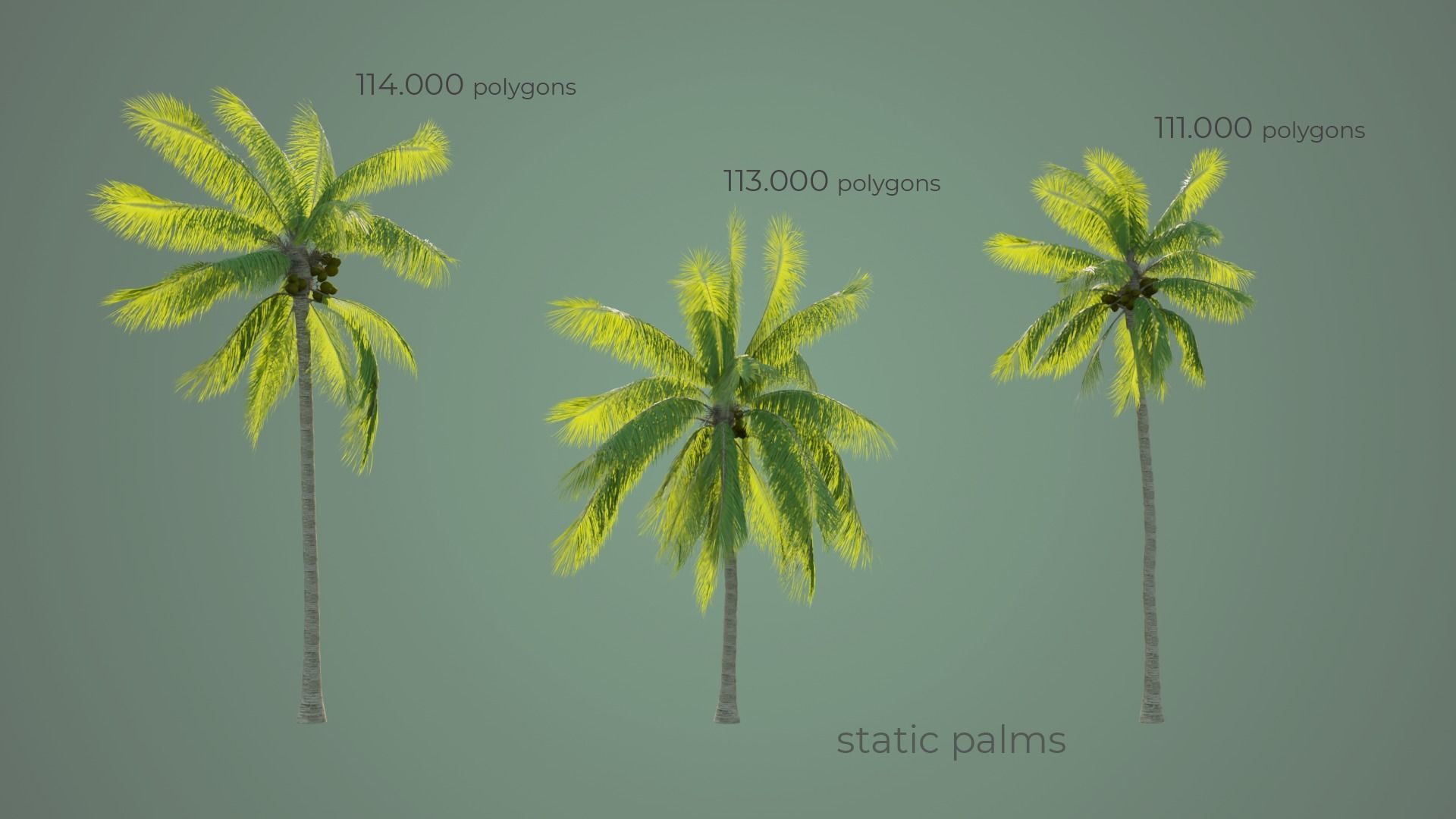 Palm Trees Low-poly 3D model_6