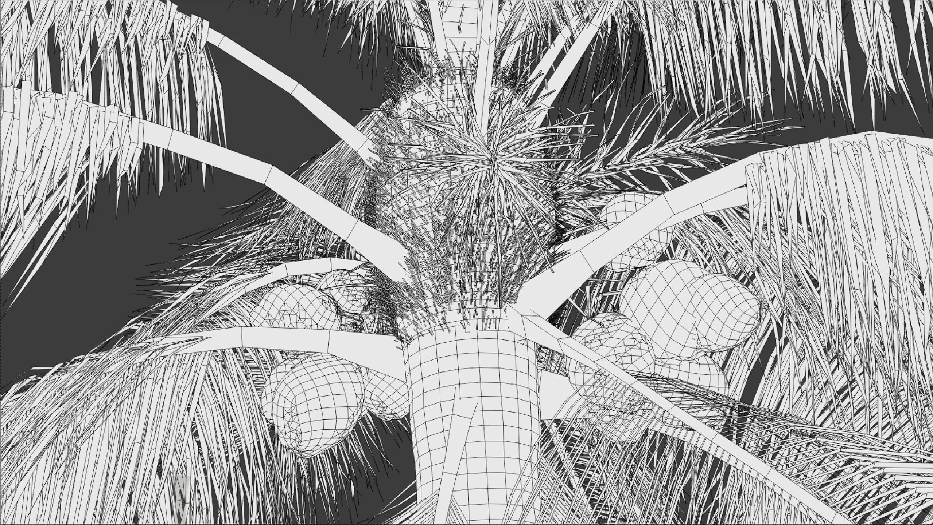 Palm Trees Low-poly 3D model_9