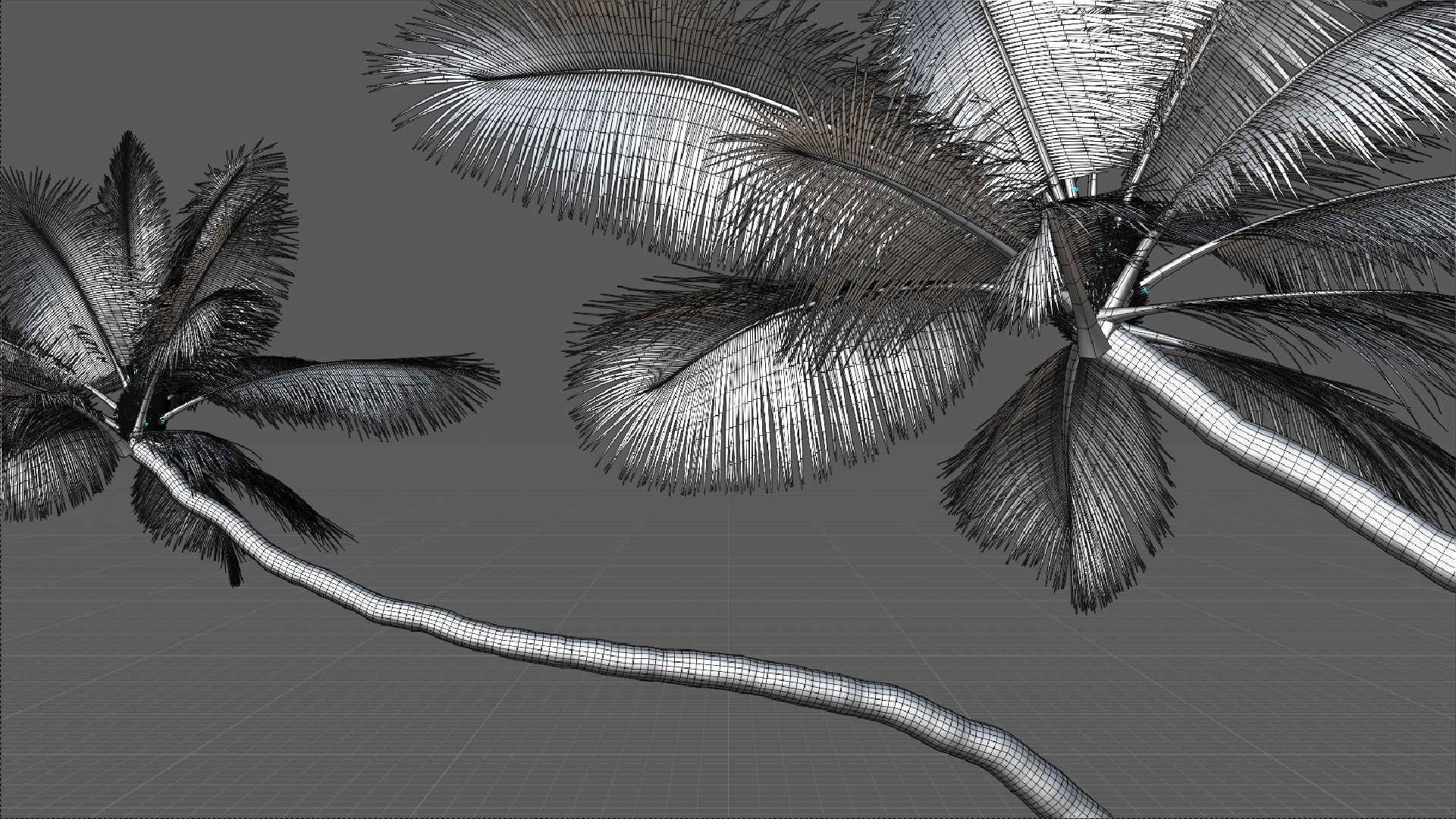 Palm Trees Low-poly 3D model_4