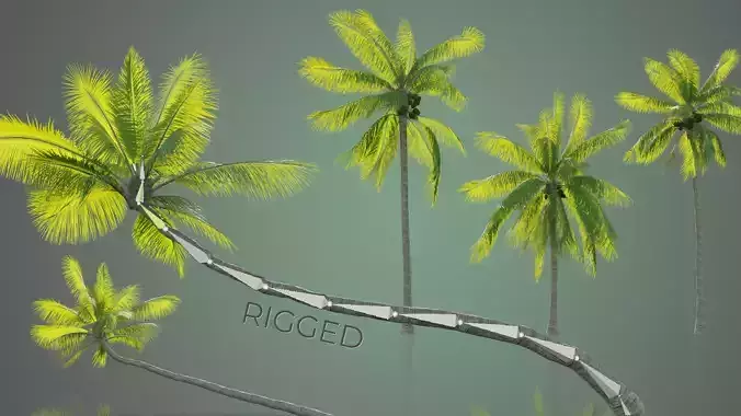 Palm Trees Low-poly 3D model