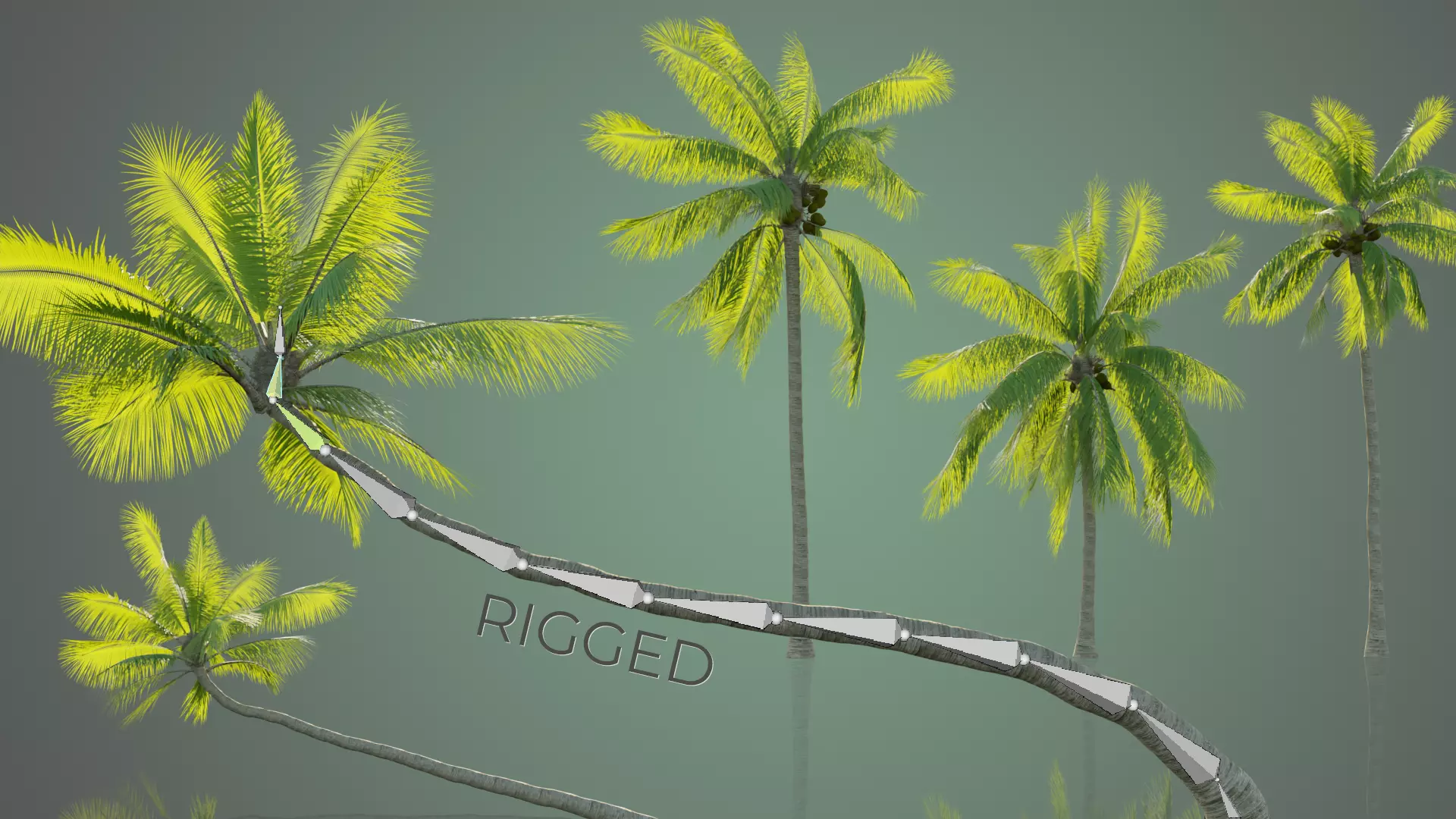 Palm Trees Low-poly 3D model_0