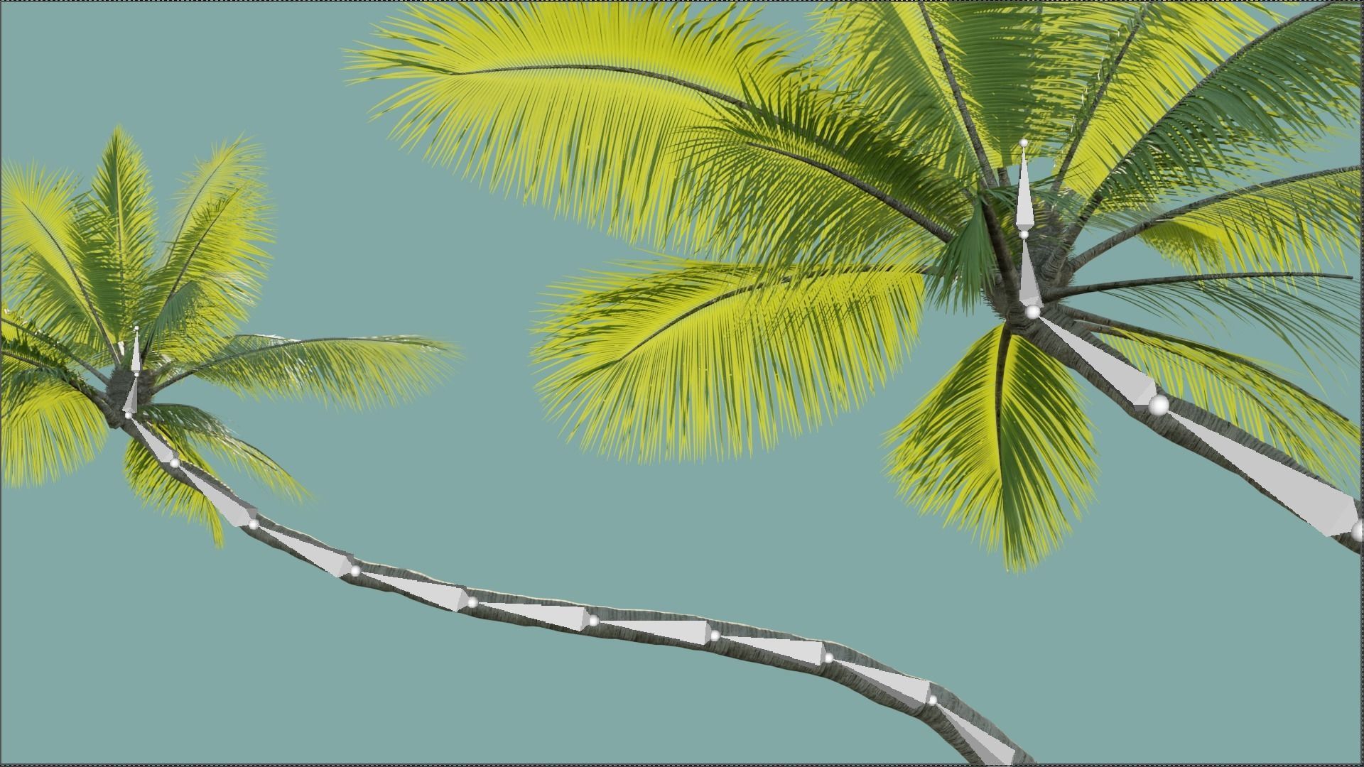 Palm Trees Low-poly 3D model_3