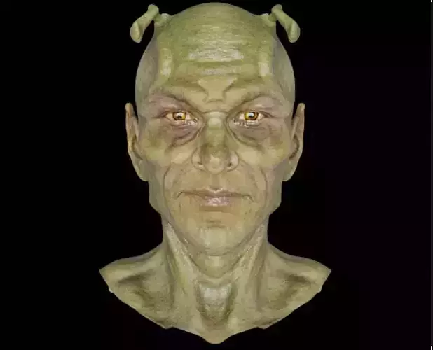 Realistic Piccolo Head mesh Low-poly 3D model