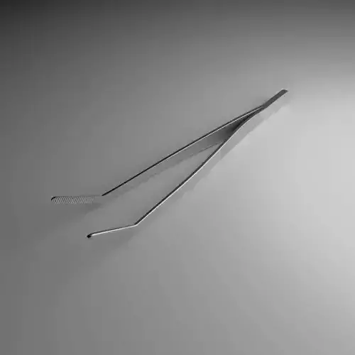 Curved Forceps
