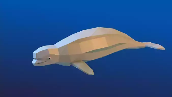 Beluga whale Low Polygon Animal Arctic sea ocean  Low-poly 3D model