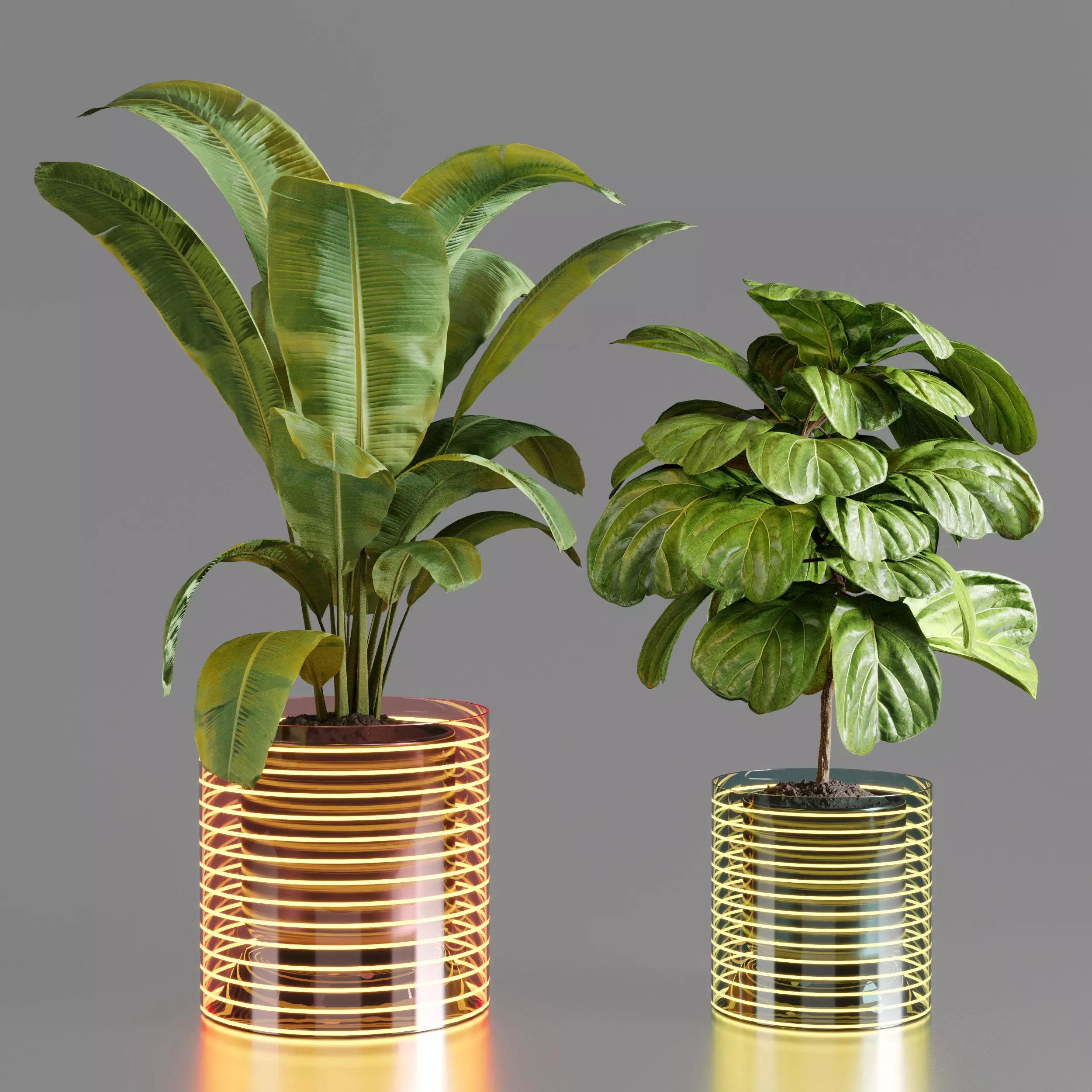 collection Indoor plant 45 vase glass 3D model
