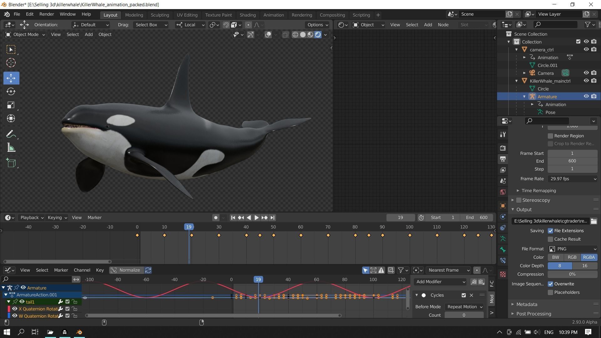 Orca killer whale Low-poly 3D model_18