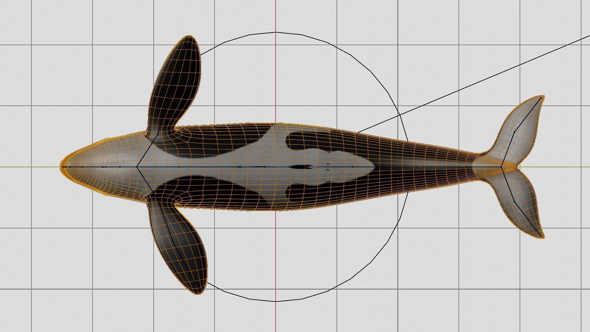 Orca killer whale Low-poly 3D model_24