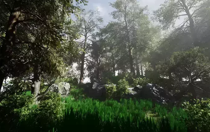 Nature Environment Asset Pack vol 2 Low-poly 3D model