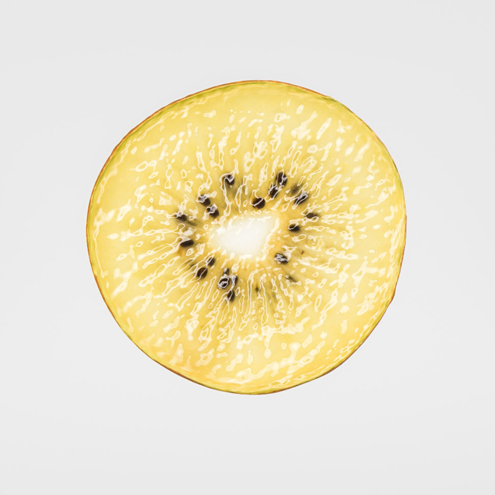 Kiwi  3D model_6