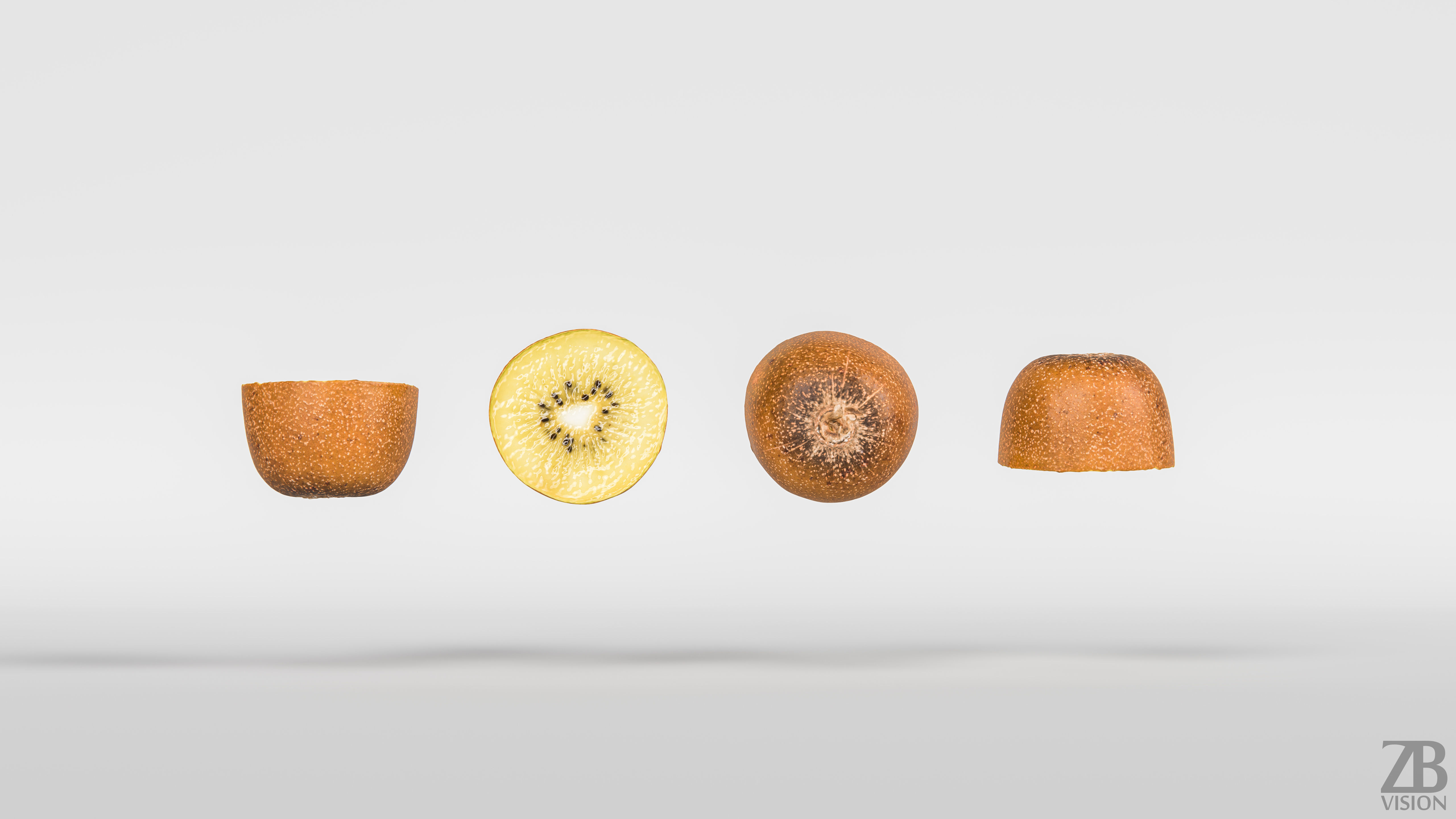 Kiwi  3D model_4