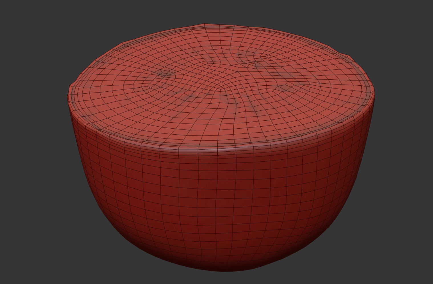 Kiwi  3D model_10