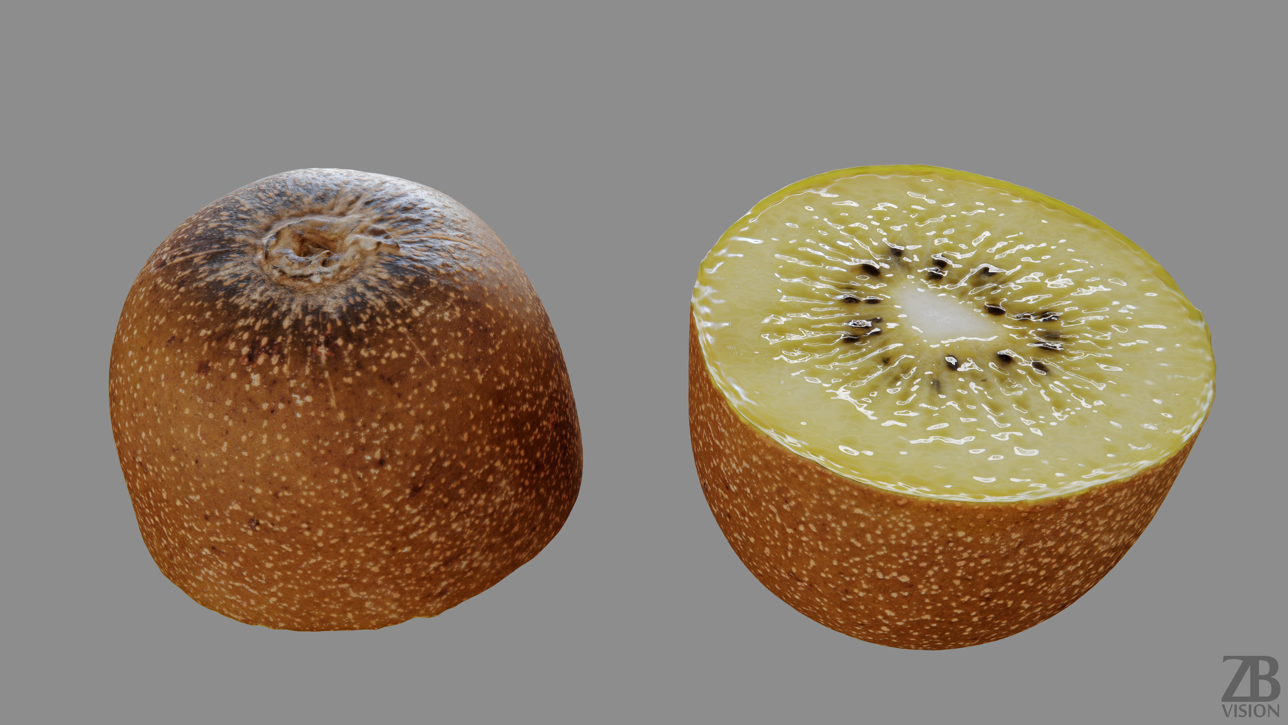 Kiwi  3D model_12