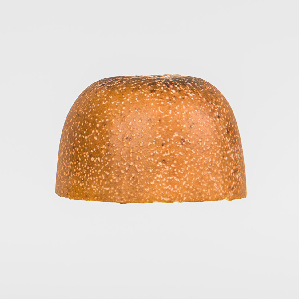 Kiwi  3D model_8